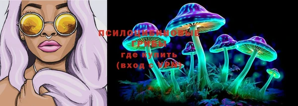 каннабис Алексеевка