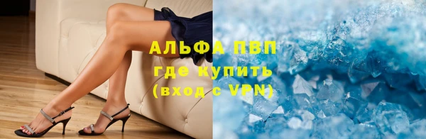 apvp Алзамай