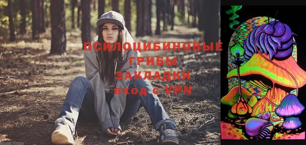 apvp Алзамай