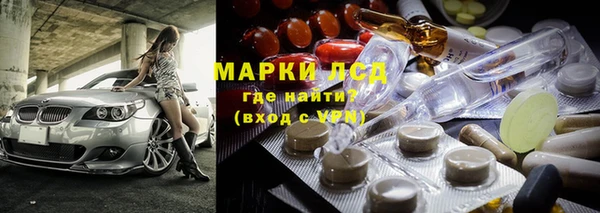 apvp Алзамай