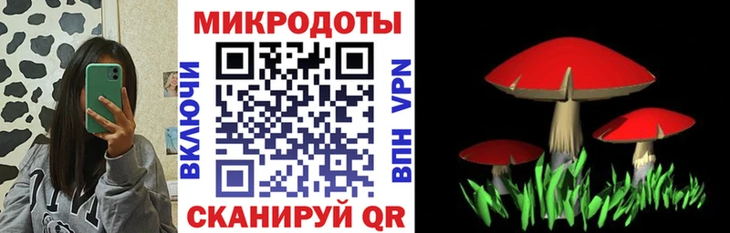 Псилоцибиновые грибы мицелий Стародуб