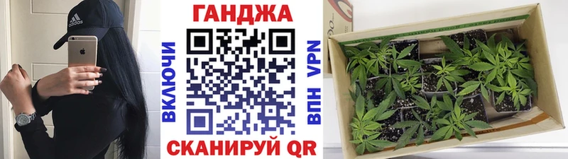 Марихуана план Стародуб